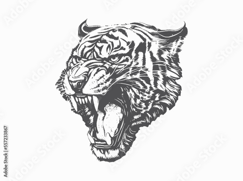 Ferocious roaring tiger. Angry tiger. vector Abstract ink splashes on the background.
