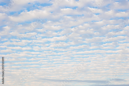 Tableau sur toile Cirrocumulus clouds forming over Northumberland on a lovely summers day