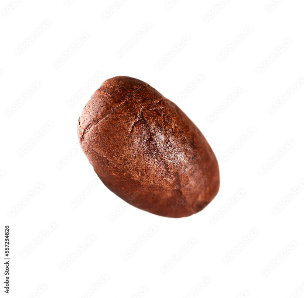 One grain of coffee isolated on white background One grain of coffee isolated on white background