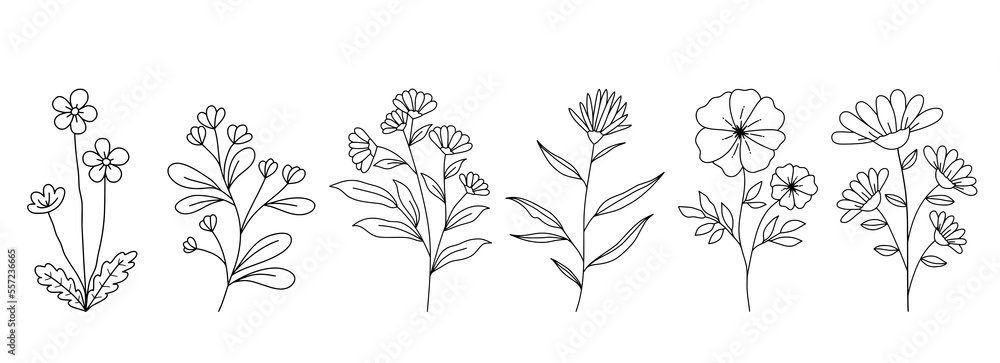 Decorative Branch Illustration Flower Line Art Decorative Branch Illustration Flower Line Art