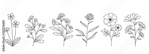 Decorative Branch Illustration Flower Line Art