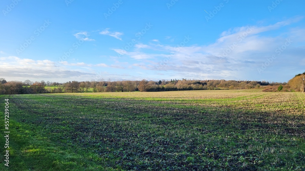 Fototapeta premium Landscape in the countryside