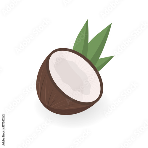 Half coconut with leaves isolated on white background. Vector illustration.