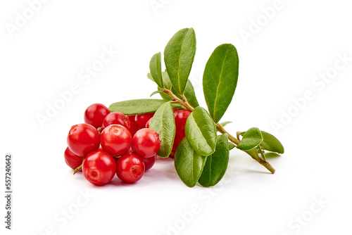 Lingonberry with leaves, isolated on white background.