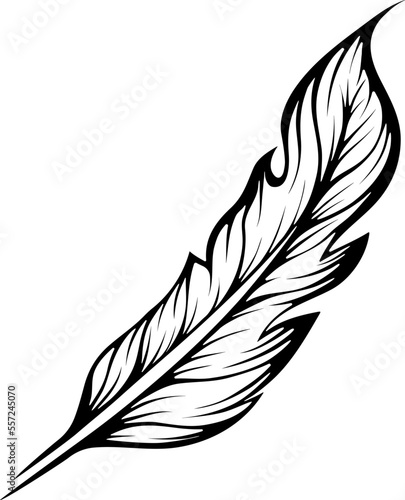 Bird feather. Boho style. Vector illustration in line art hand drawn style isolated on white. Sketch for tattoo, coloring book page, invitations, logo, label