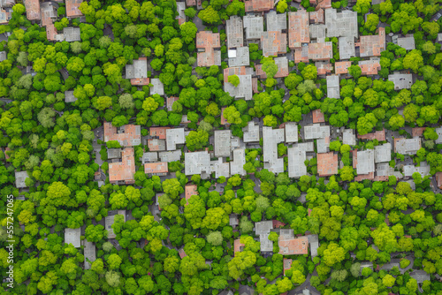 aerial view building and garden