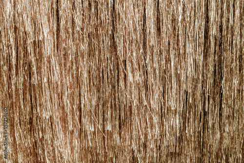 Картината върху платно Metallic gold foil tinsel fringe decoration curtain