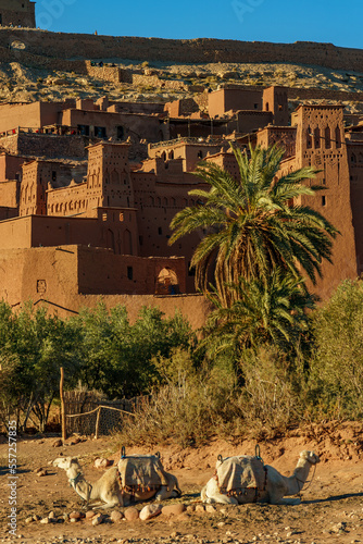 North Africa. Morocco. Ksar d'Ait Ben Haddou in the Atlas Mountains of Morocco. UNESCO World Heritage Site since 1987. Camels in front of the village of Ait Benhaddou