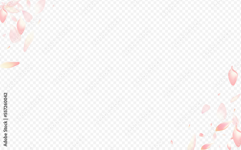 Pink Flower Vector Transparent Background. Cherry Pink Flower Vector Transparent Background. Cherry