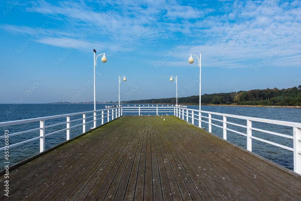 Seagulls sitting on the railing of a wooden pier by the sea. Photo taken on a sunny day