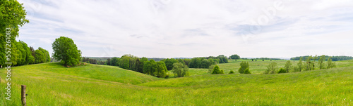panorama landscape with green grass, trees and blue sky in spring summer