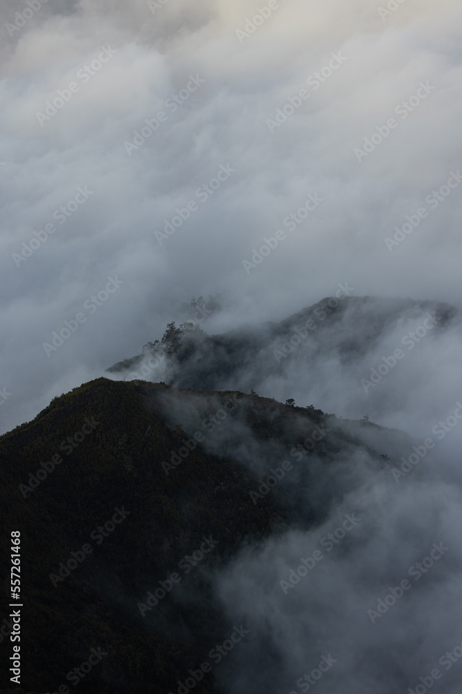 Mountain trail with fog in dead trees on the ascent to Ruivo peak in Madeira island, Portugal in April 2022.