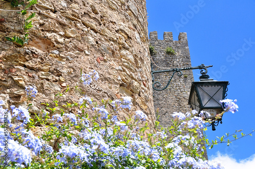 Flowers of Portugal