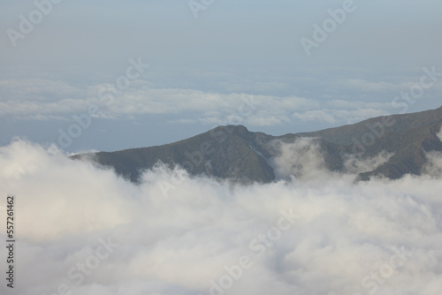 Fototapeta Naklejka Na Ścianę i Meble -  Mountain trail with fog in dead trees on the ascent to Ruivo peak in Madeira island, Portugal in April 2022.