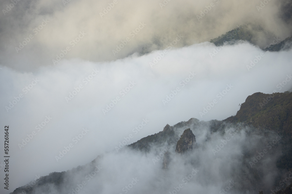 Epic misty vibes in the mountains of Madeira at a viewpoint called Bica da Cana. Epic misty vibes in the mountains of Madeira at a viewpoint called Bica da Cana.