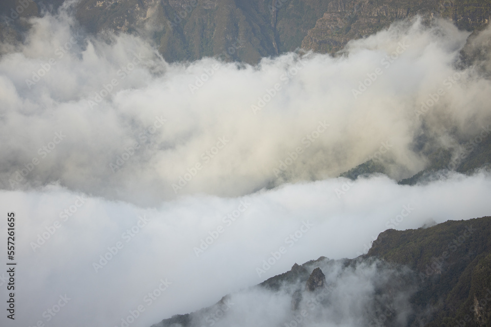 Epic misty vibes in the mountains of Madeira at a viewpoint called Bica da Cana.