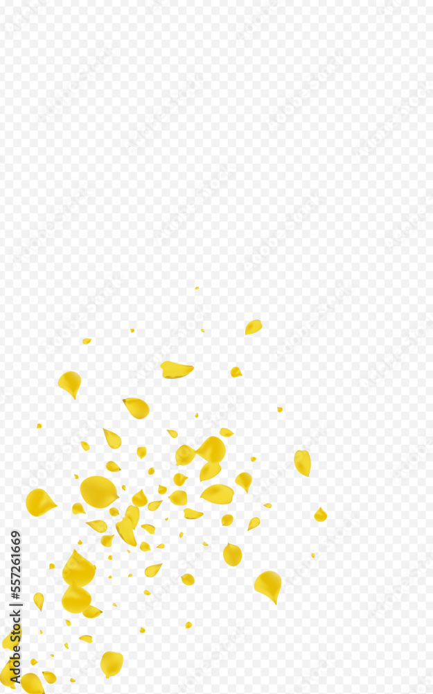 Canary Petal Spring Vector Transparent