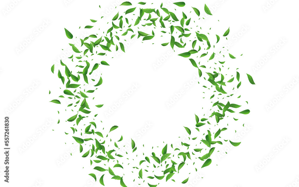 Forest Greens Wind Vector White Background Forest Greens Wind Vector White Background