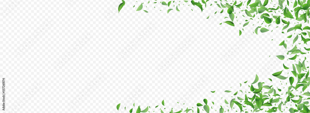 Green Greens Tree Vector Panoramic Transparent