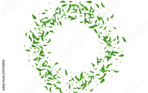 Forest Greens Wind Vector White Background