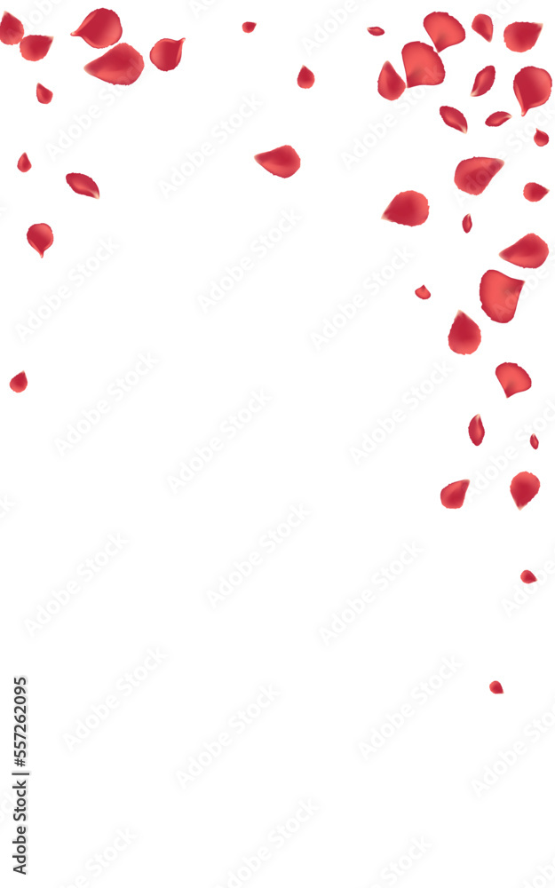 Delicate Floral Falling Vector White Background.