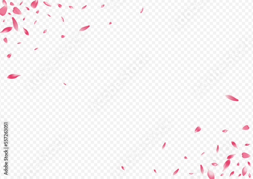 Red Cherry Vector Transparent Background. Rose