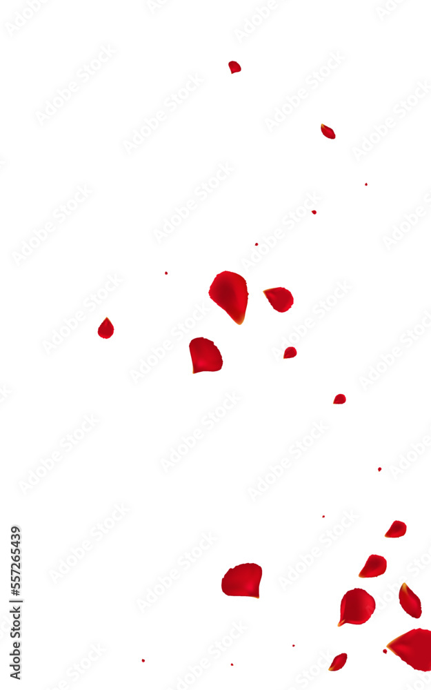 Pink Floral Flying Vector White Background. Pink Floral Flying Vector White Background.