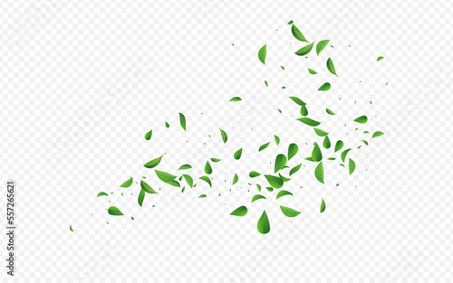 Green Foliage Fly Vector Transparent Background