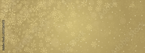 Gray Snow Vector Panoramic Gold Background.