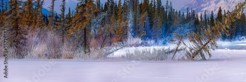 Wallpaper Mural winter forest on a cold morning Torontodigital.ca