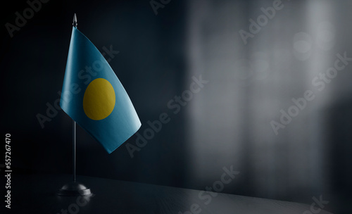 Small national flag of the Palau on a black background photo