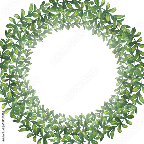 Doodle green foliage round frame. Hand-drawn watercolor illustration isolated on white background. For greetings  wallpapers  Wedding Invitation
