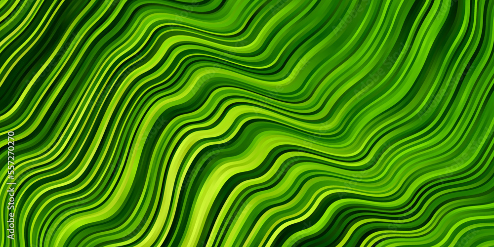 Light Green, Yellow vector template with curves. Light Green, Yellow vector template with curves.