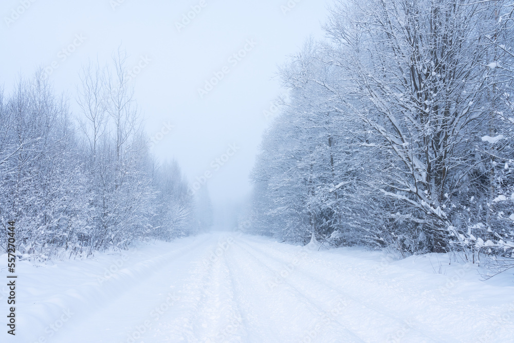 A snowy road leading through a wintry woodland on a cold day in rural Estonia, Northern Europe