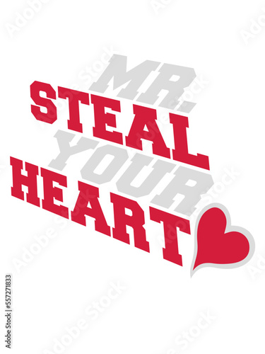 mr steal your heart 