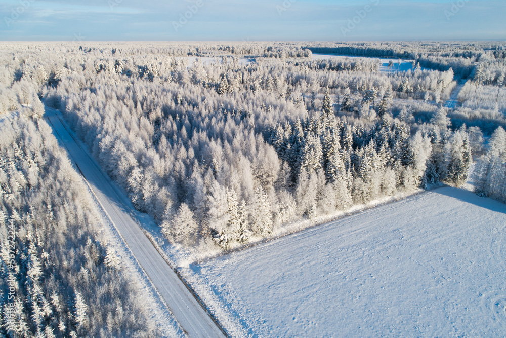 An aerial of a small snowy gravel road and woodland on a sunny winter day in rural Estonia, Northern Europe
