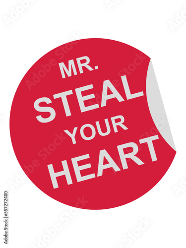 mr steal your heart 