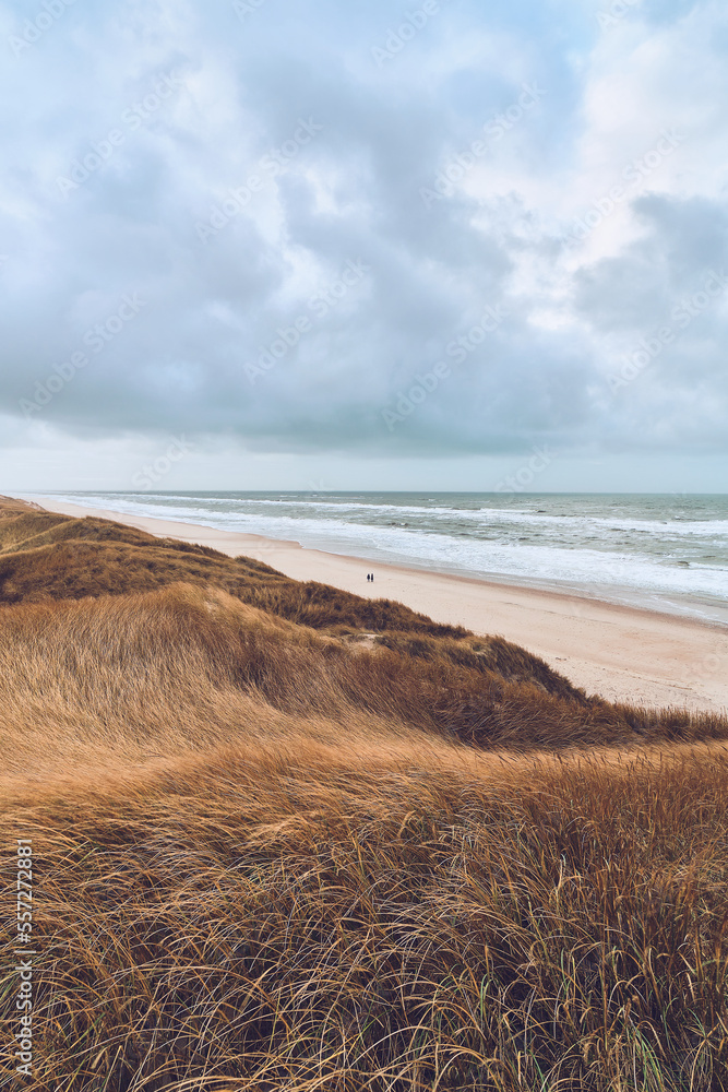 Overcast day at the Dunes in Denmark. High quality photo Overcast day at the Dunes in Denmark. High quality photo