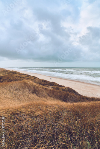 Overcast day at the Dunes in Denmark. High quality photo