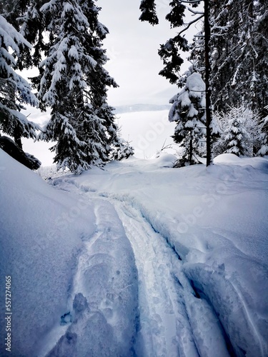 Wallpaper Mural verschneite Winterlandschaft mit Spuren von Skitourengehern Torontodigital.ca