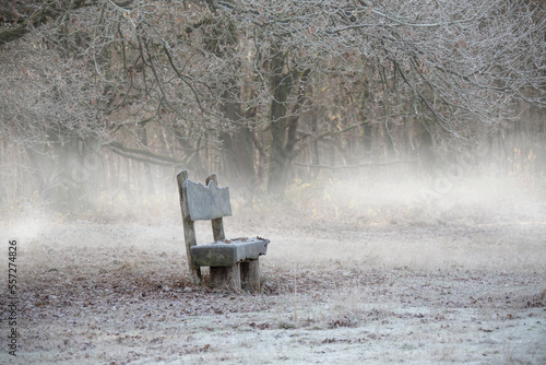 Empty bench or bank in the park in winter. Foggy winter landscape. photo