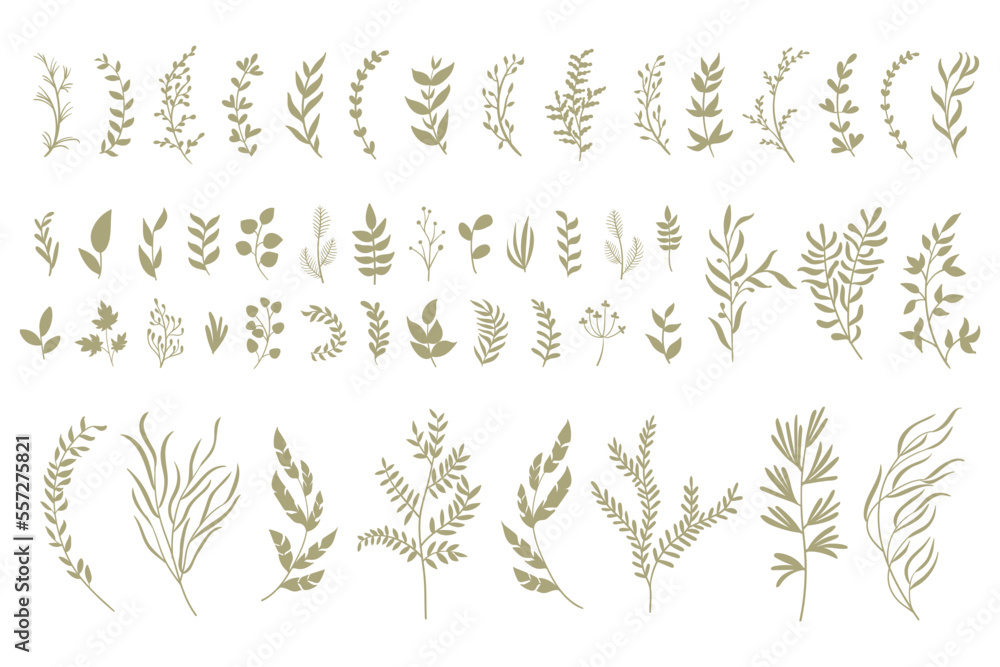 set collection plants leave hand drawn vector. Drawing beautiful creeper leaves, decorative set set collection plants leave hand drawn vector. Drawing beautiful creeper leaves, decorative set
