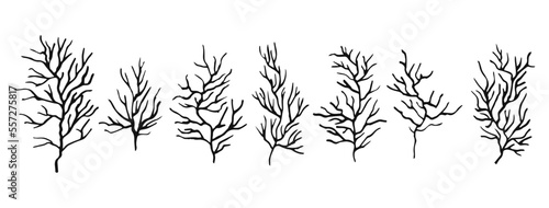 set collection branch hand made. Hand drawn vector