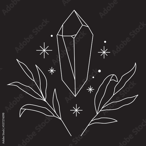 Mineral crystal stone, stars and plants. Floral leaf natural. Black and white. Black background. Line drawing.