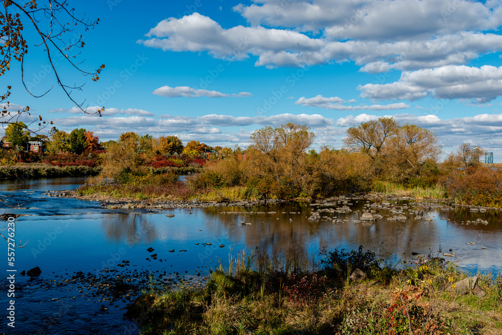 Fototapeta premium Autumn colors by the St. Lawrence river 