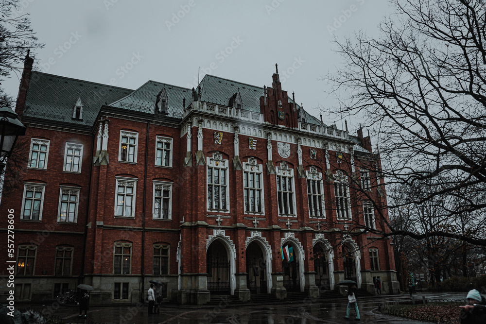 Obraz premium Oldest University in Cracow,Poland