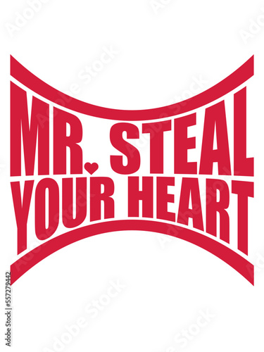 mr steal your heart 