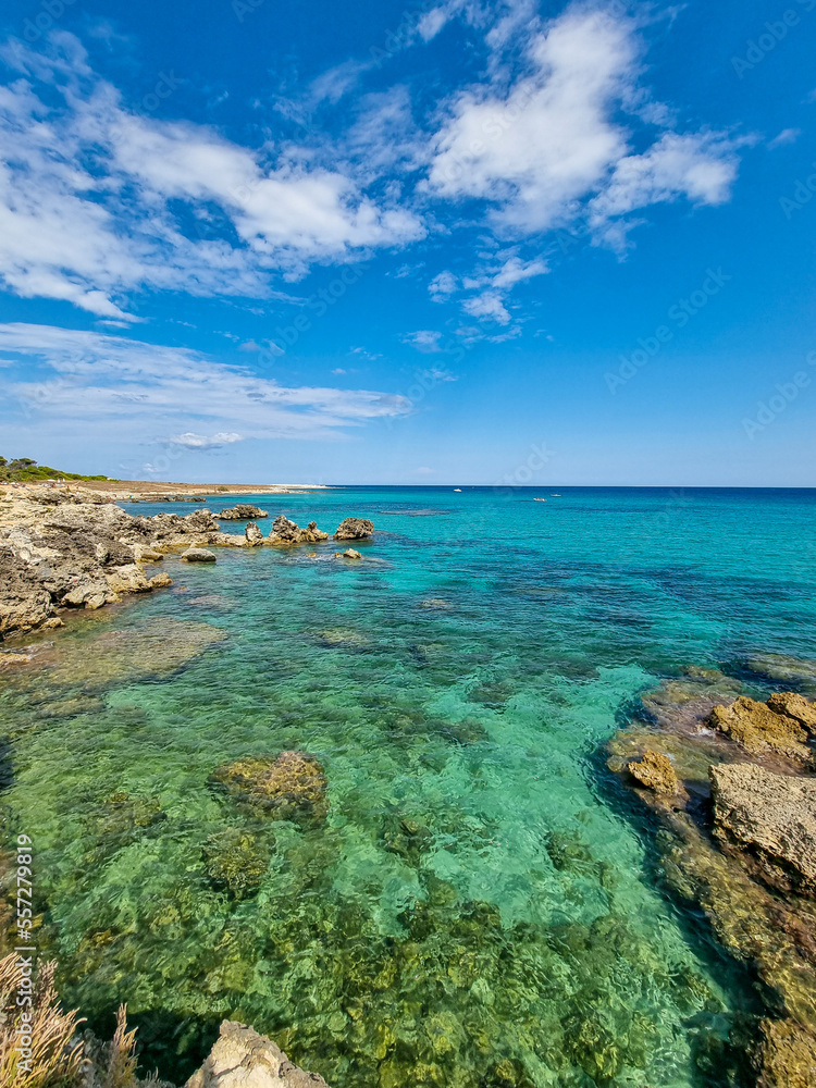 Fototapeta premium seascape with rocks