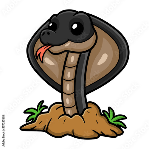Cute javan spitting cobra cartoon