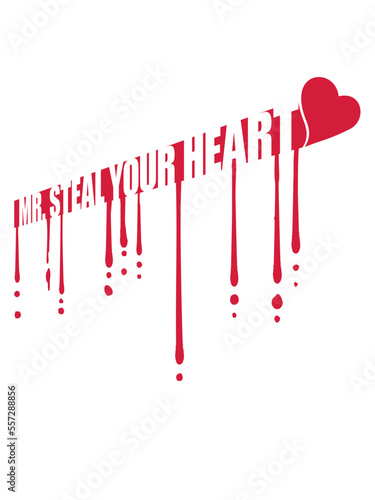 mr steal your heart 